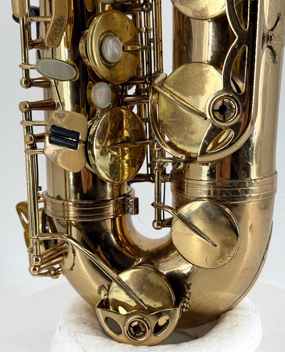 IMG-1101_1200x1200.jpg?v=