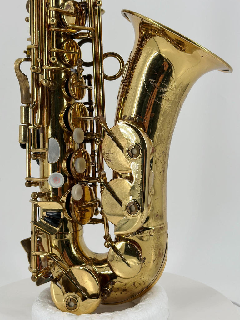 RW Alto Saxophone Reeds