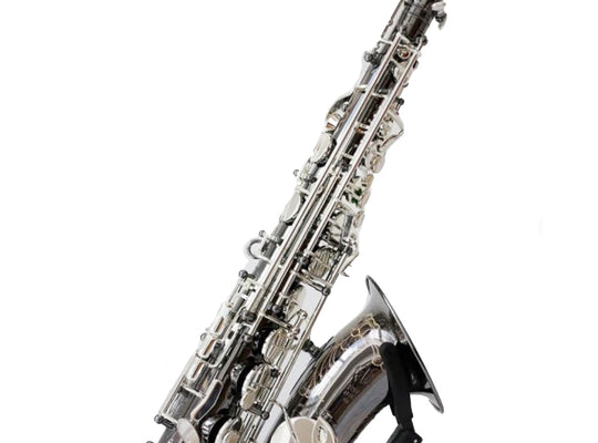 RW Pro Series Alto Saxophone Black Nickel