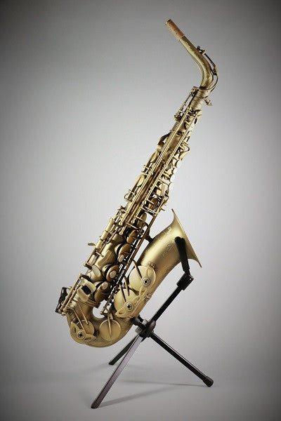RW Pro Series Alto Saxophone Vintage